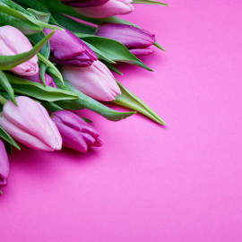 8 marca - Dzień Kobiet